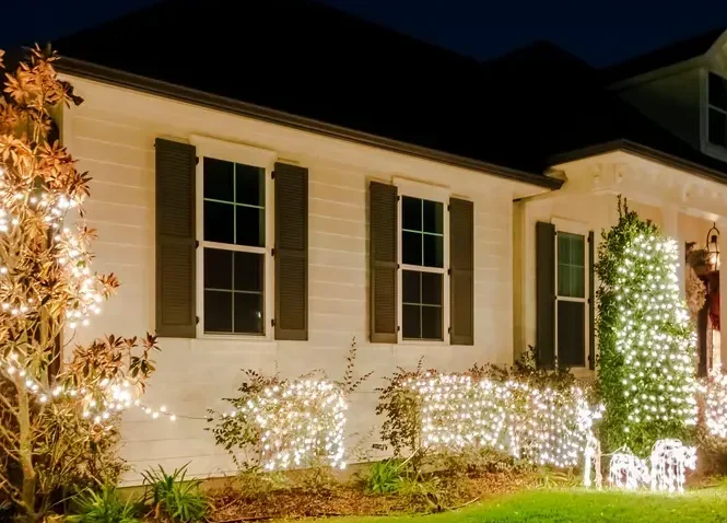 Bush and Shrub Christmas Lighting Yukon ok