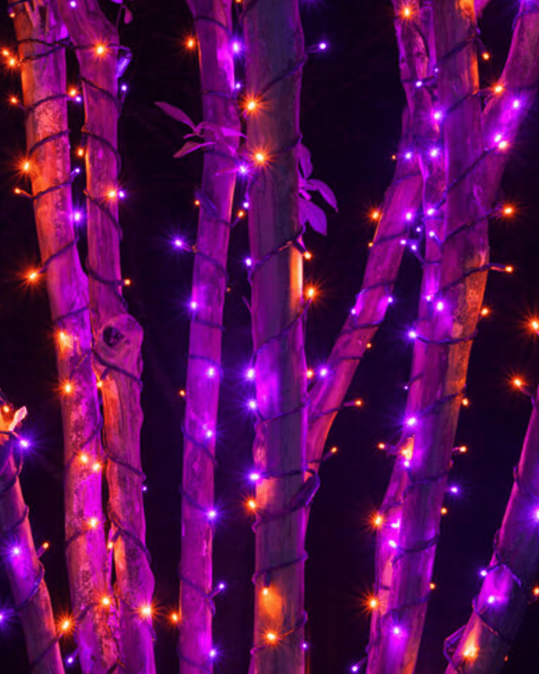 5mm Pink and Purple LED Christmas Lights
