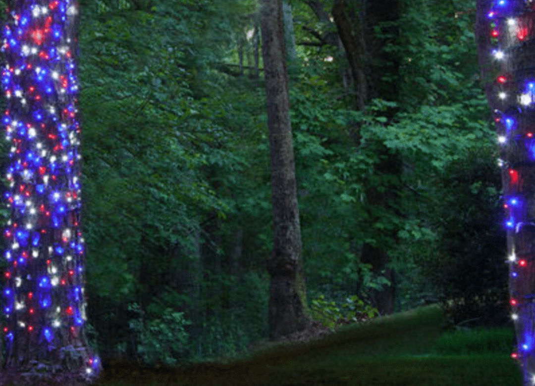 Tree Red White and Blue LED Christmas Lights OKC