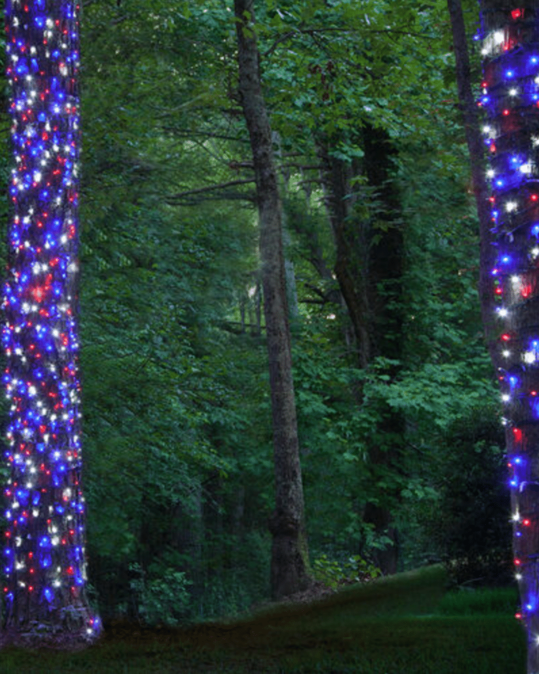 5mm Red White and Blue LED Christmas Lights