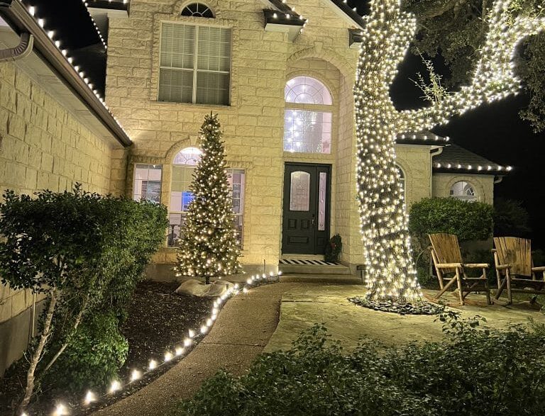 Trees and Bushes Landscape Christmas Lighting