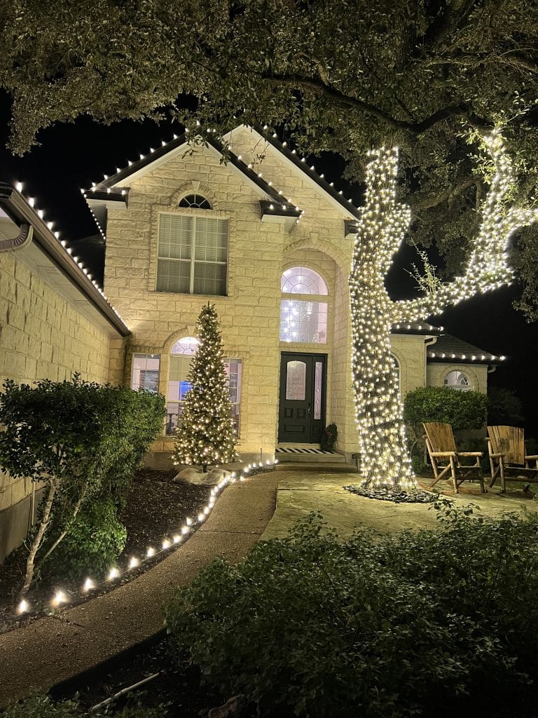Trees and Bushes Landscape Christmas Lighting